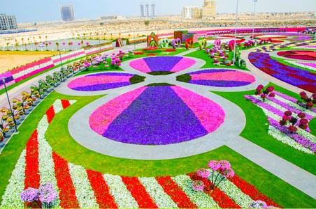 Dubai Miracle Garden with colourful flower compositions