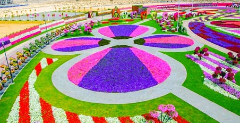 Dubai Miracle Garden with colourful flower compositions