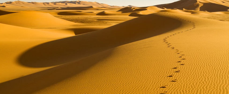 Yellow sand dunes in a desert with blue sky