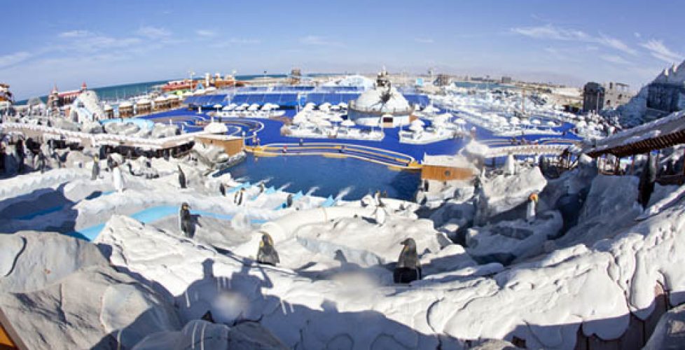 Water park looking like Antarctica in United Arab Emirates