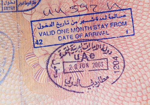 Picture of a visa from a passport with pink pages