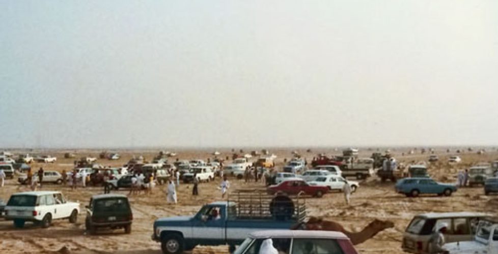 Camel race in the 70s
