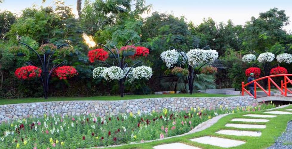 Miracle Garden Dubai