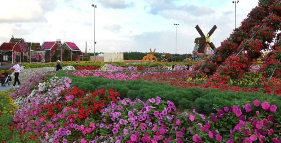 Flowerbeds in Dubai Miracle Garden
