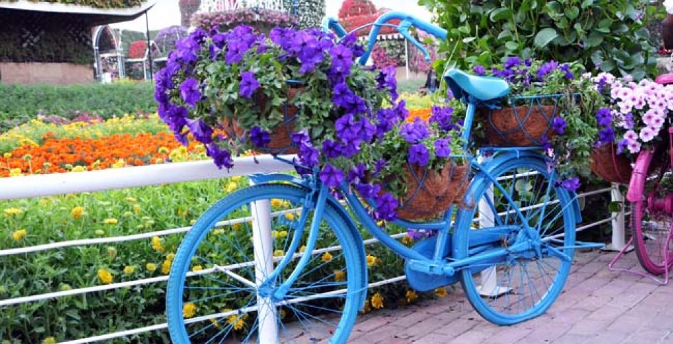 Bicycle decorated with flowers