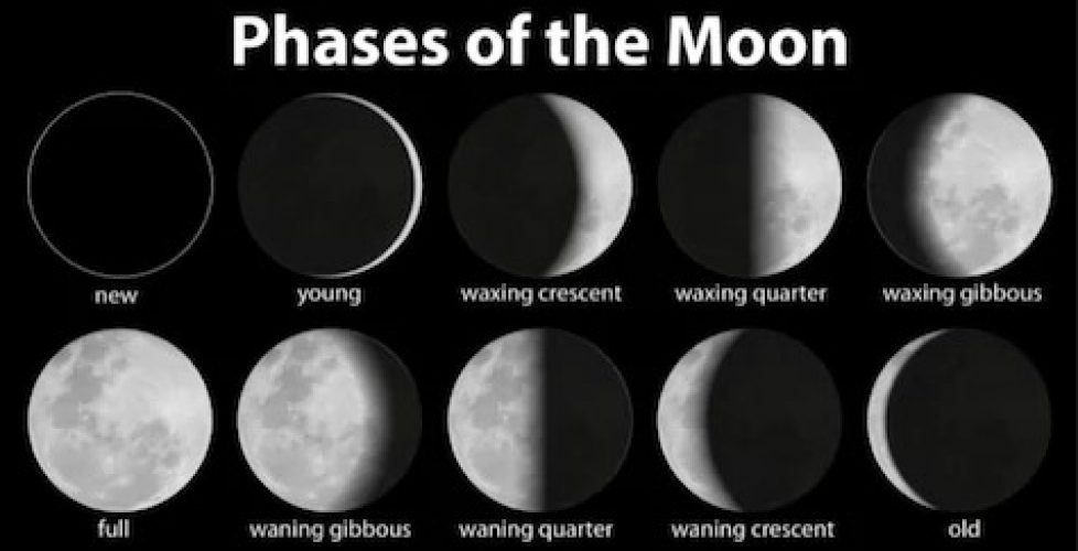 Phases of the Moon