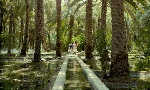 Al Ain Oasis