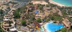 wild-wadi main