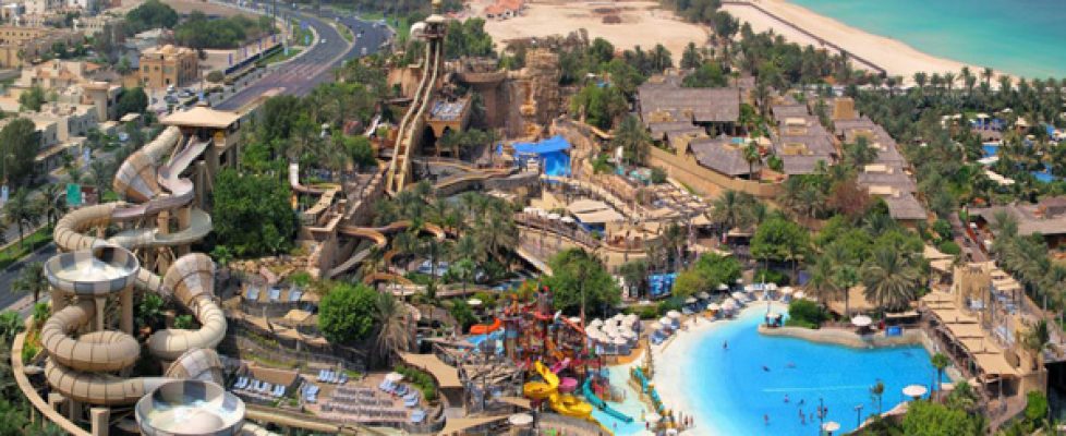 wild-wadi main