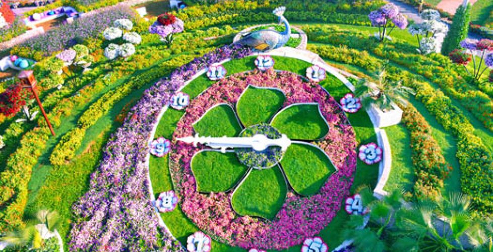 MiracleGarden_Watch