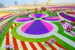 Dubai Miracle Garden with colourful flower compositions