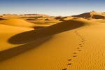 Yellow sand dunes in a desert with blue sky