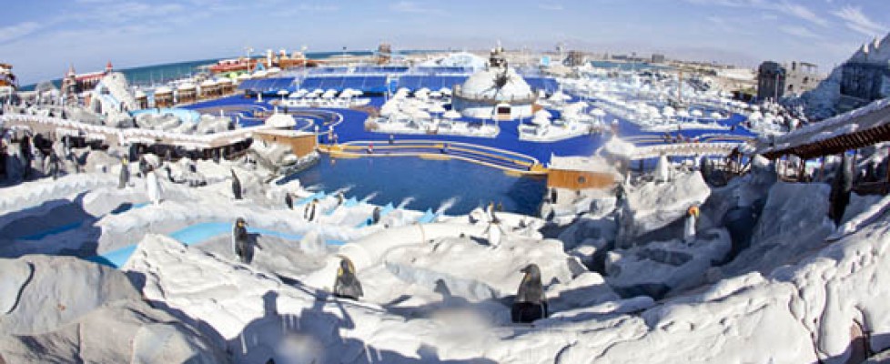 Water park looking like Antarctica in United Arab Emirates