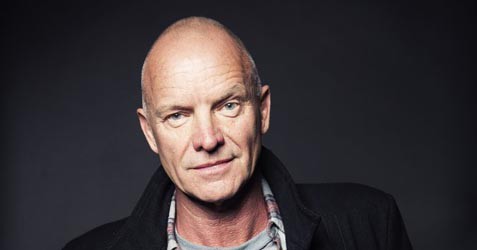 Portrait of Sting